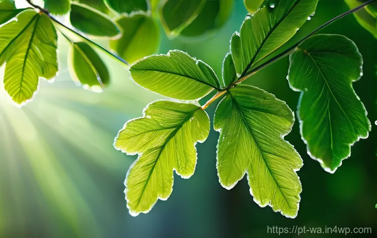 탄소 격리 식재의 과학적 원리 - **Prompt:** A magical and serene close-up of vibrant green leaves in a dense Portuguese forest, remi...