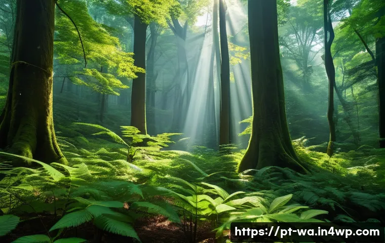 탄소 격리 식재의 상호작용 연구 - A vibrant, sun-drenched forest where towering, mature trees and lush, diverse undergrowth thrive. Su...
