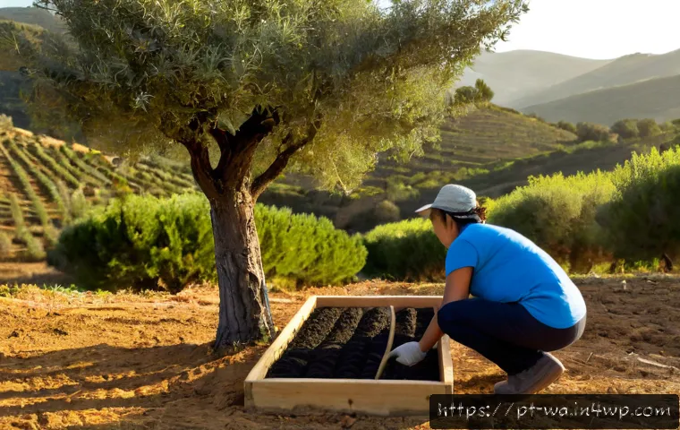 Home 17 탄소 격리 식재의 효과적인 홍보 방법 - Photorealistic community tree-planting event in rural Portugal, diverse volunteers placing young cor...