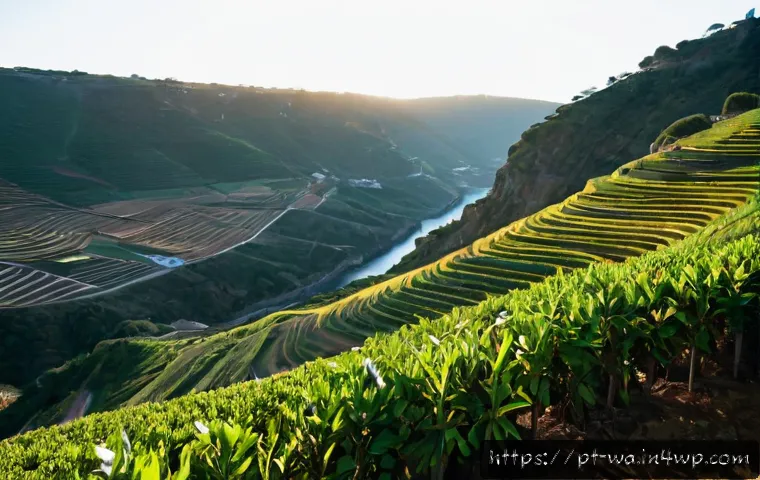 Como divulgar projetos de plantio para sequestro de carbono e atrair parceiros 4 탄소 격리 식재의 효과적인 홍보 방법 관련 이미지 2